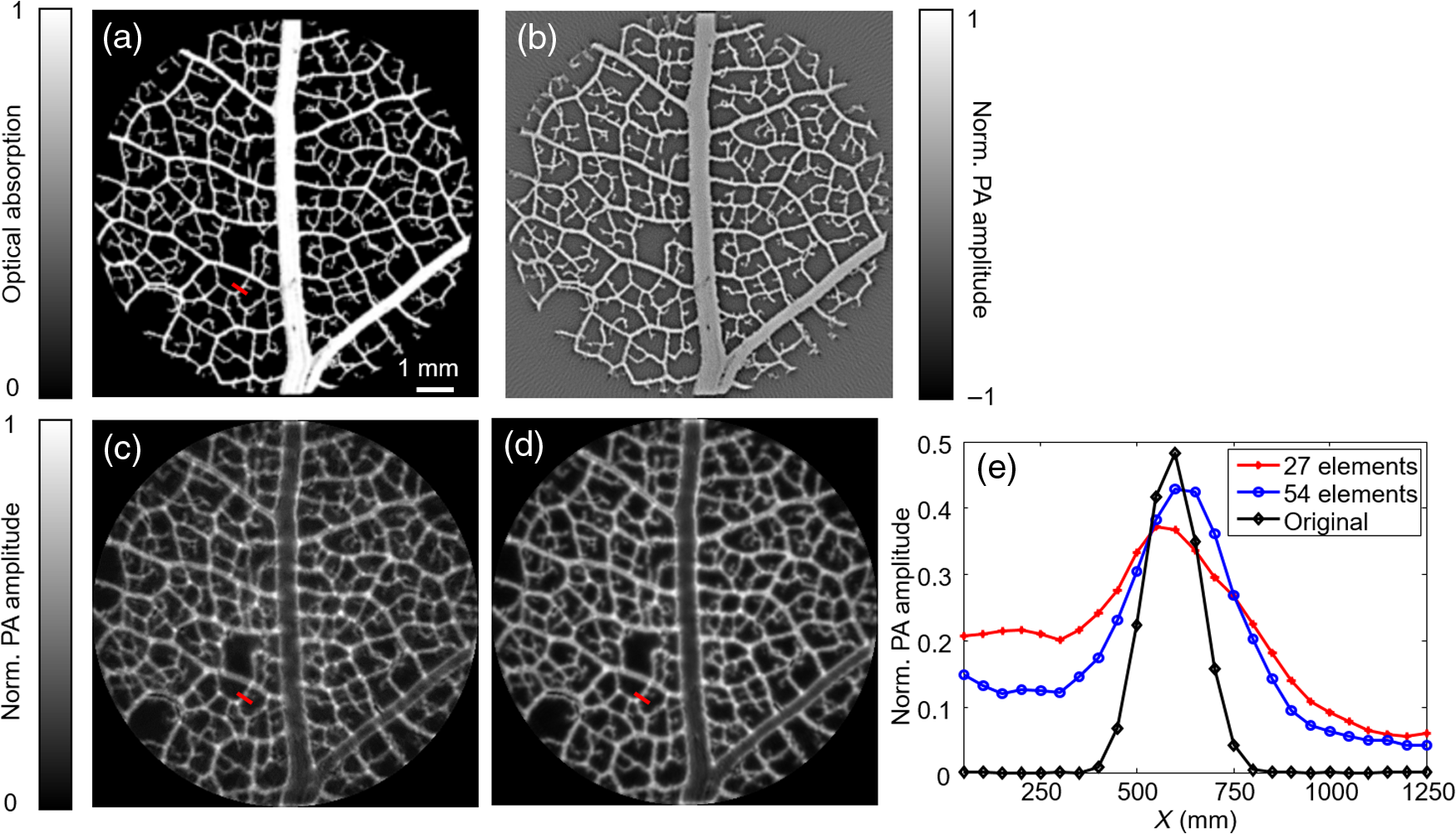 Multiview Hilbert transformation in full-ring transducer array-based ...