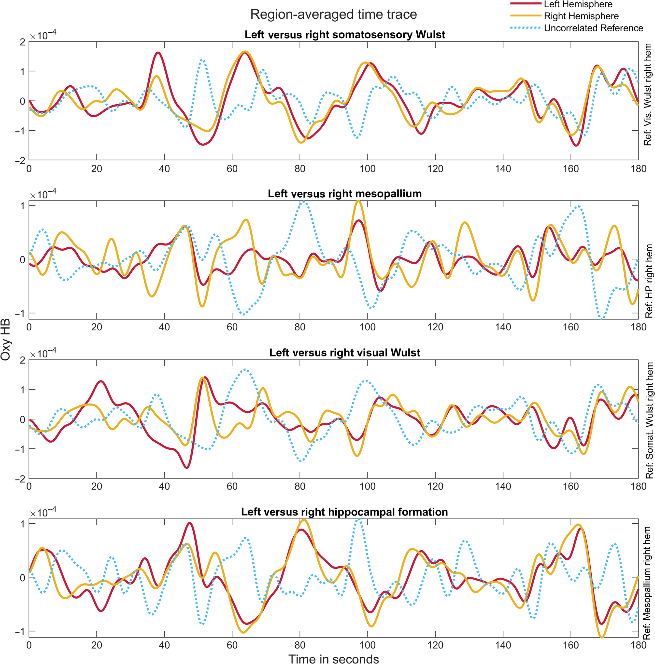 Mapping functional connectivity in the pigeon brain with wide-field ...